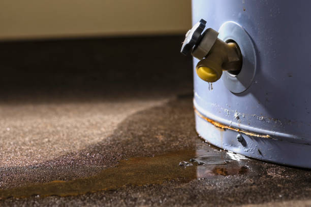 Best 24-hour water damage restoration  in Rosebud, SD
