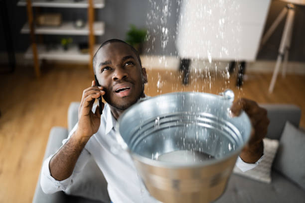 Best Water damage cleanup near me  in Rosebud, SD