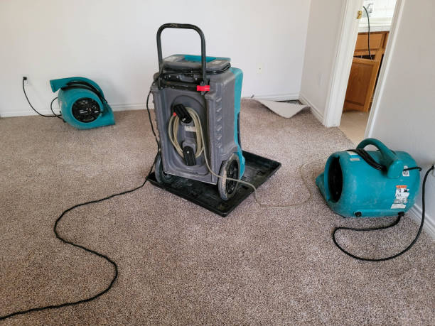 Best 24/7 water damage repair  in Rosebud, SD