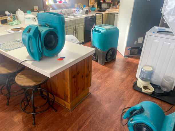 Best Sewage cleanup and water damage restoration  in Rosebud, SD