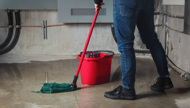 Best Local water damage restoration  in Rosebud, SD