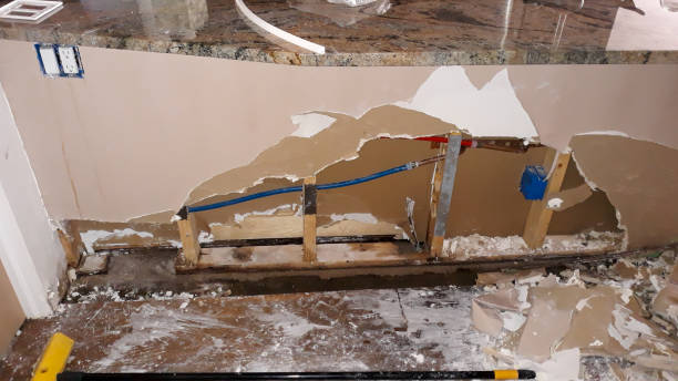 Best Water damage restoration process  in Rosebud, SD