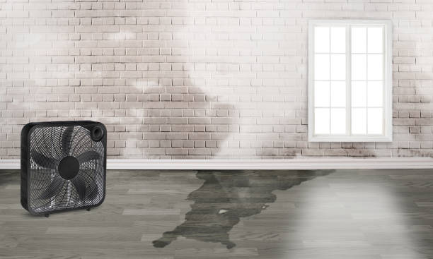 Water damage restoration experts in SD