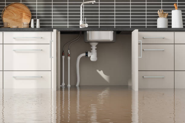 Best Water damage contractors near me  in Rosebud, SD