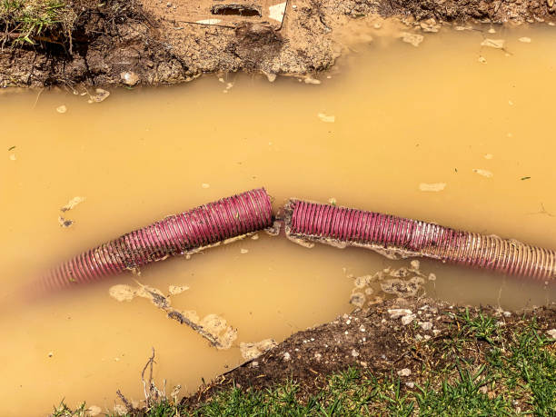 Best Water damage restoration near me  in Rosebud, SD